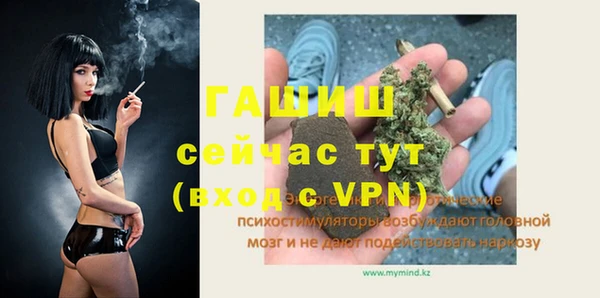 гидра Богданович