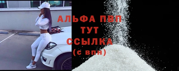 гидра Богданович