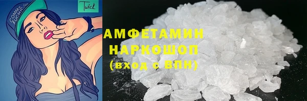 гидра Богданович