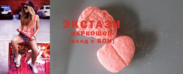 гидра Богданович