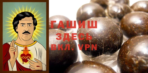 гидра Богданович
