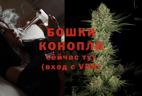 твердый Богородицк