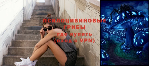 гидра Богданович
