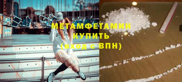 гидра Богданович