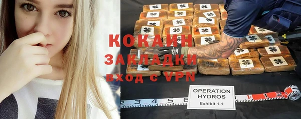 твердый Богородицк