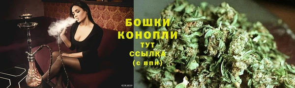 гидра Богданович