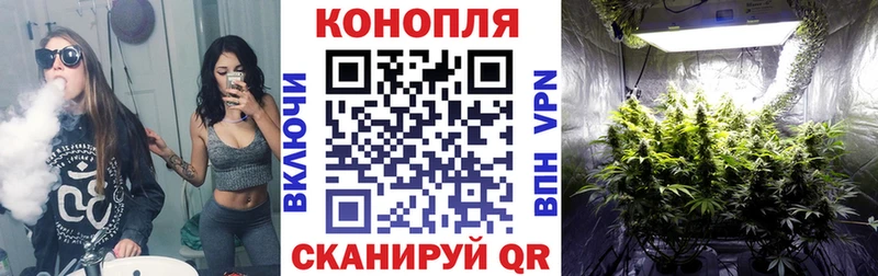 Купить закладки  Черняховск  Канабис конопля 
